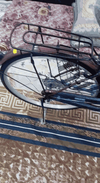 بايسكل ياباني بعدة بلكورتون لون جوزي لماعي اني مغلفة فابلون الازرق للحماية المكان الرمادي السعر 120 وبي مجال الرقم ***********
