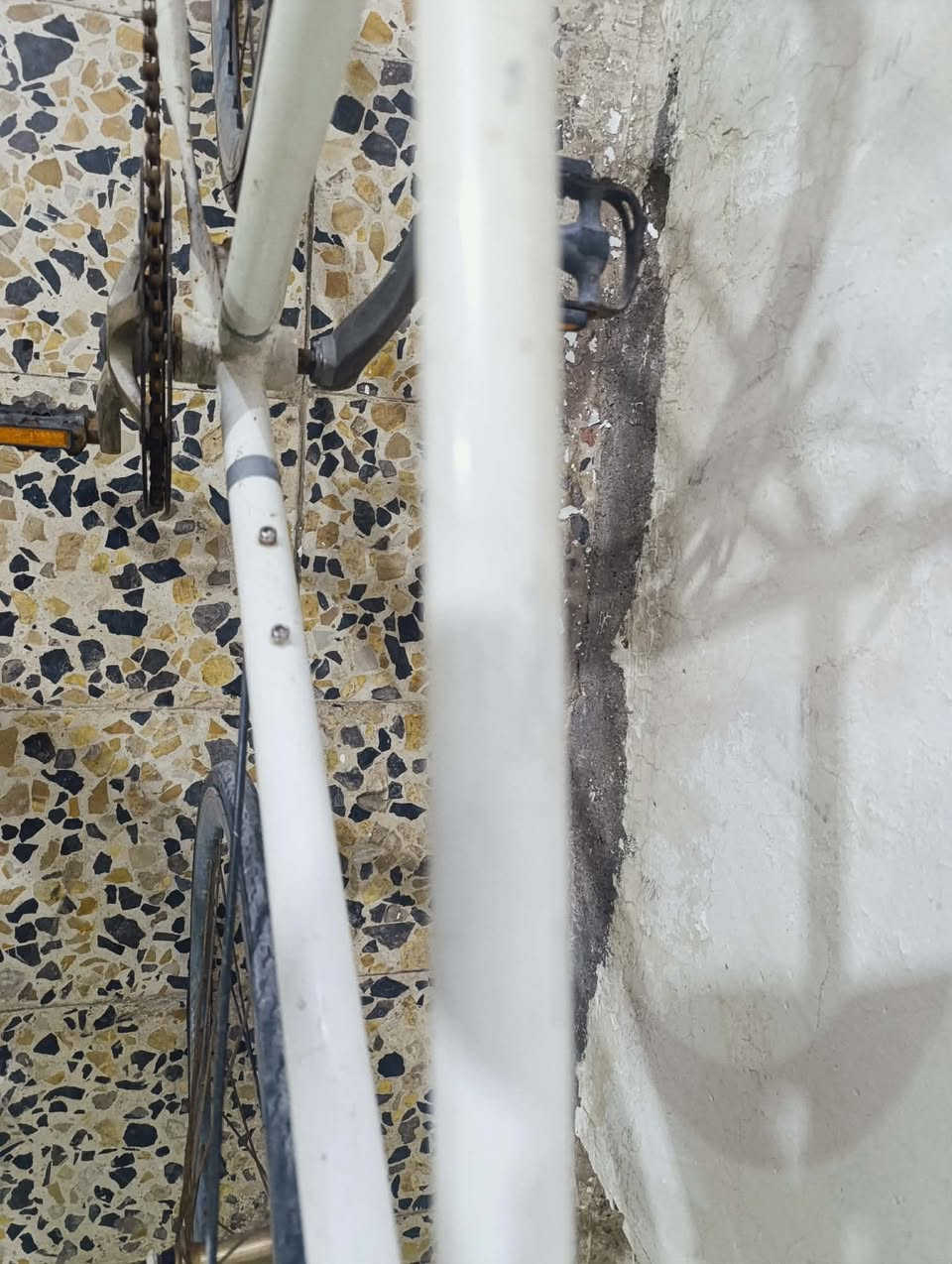بيسكل C700 المنيوم وزن ريشه سعر خاص


**إذا كنت صاحب هذا الإعلان وتريد حذفه لأي سبب، رجاءا أرسل رسالة إلى الدعم الفني**