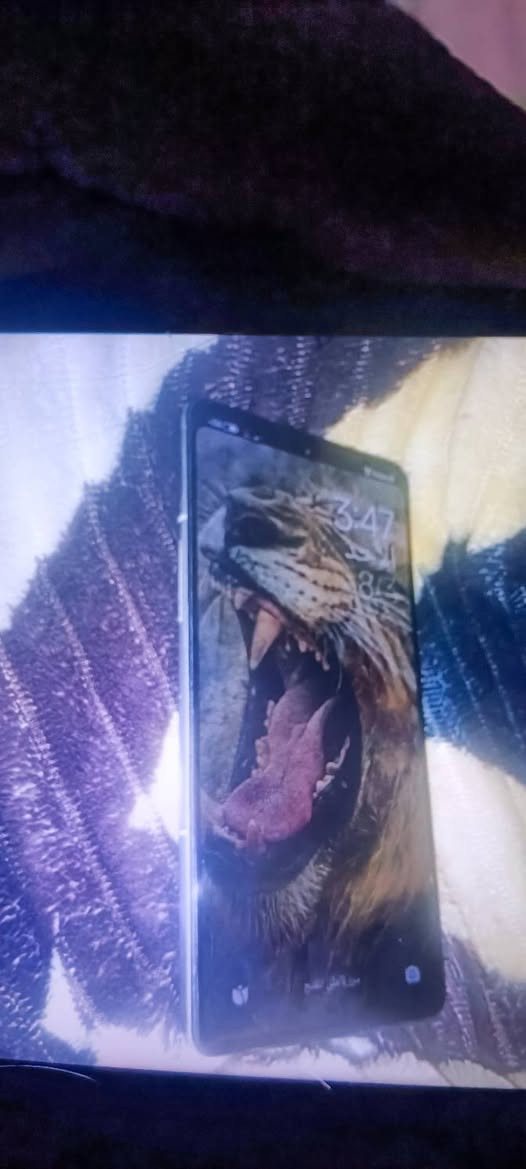 سلام عليكم جهاز نضيف بس ضهر مكسور  ب300 بوبجي 90 فريم شفتات بي 
عنوان الشعب


**إذا كنت صاحب هذا الإعلان وتريد حذفه لأي سبب، رجاءا أرسل رسالة إلى الدعم الفني**