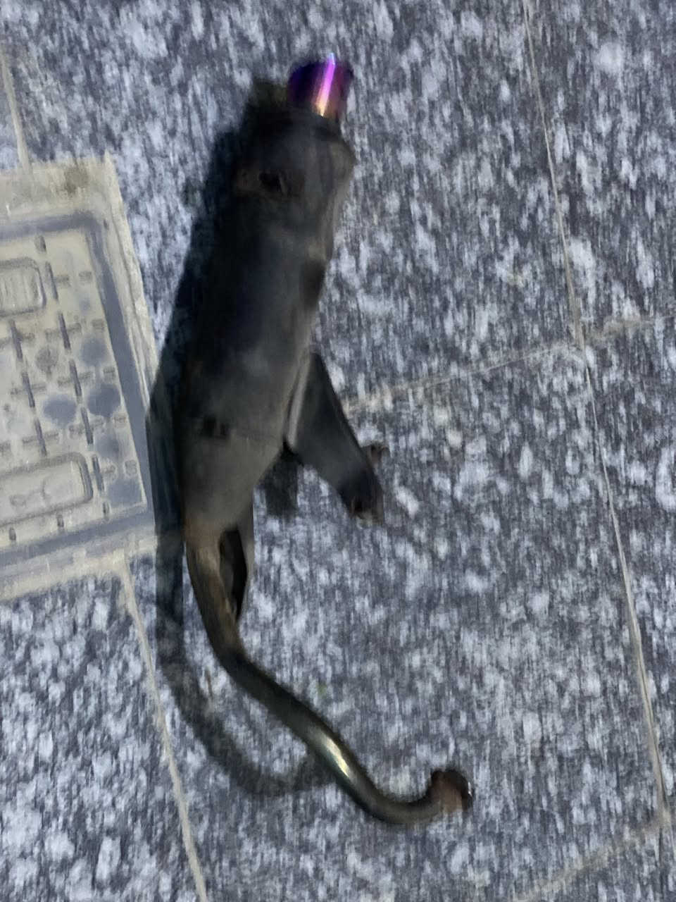 كزوز رياضي للبيع السعر 20 وعينه رياضيه للبيع كذلك ب 20 اي استفسار عله الرقم ***********
