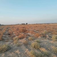 كربلاء طويريج • ٢ دونم • سند٢٥