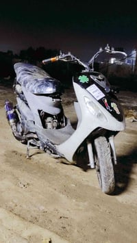 ماكس منغولي • معدل • سبع الوان