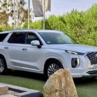 باليسايد فول • ٢٠٢٠ • وارد امريكي