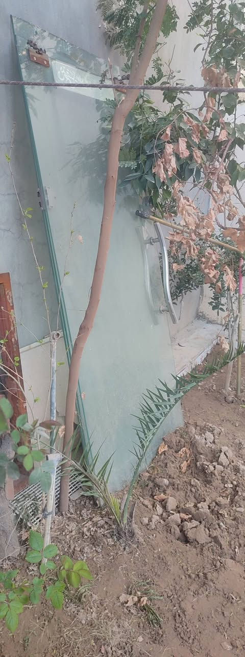 رفوف تركي للبيع 13متر نضيف  سعر200000  وباب  جام اسلايت سعر 75000 رقم هاتف ***********
