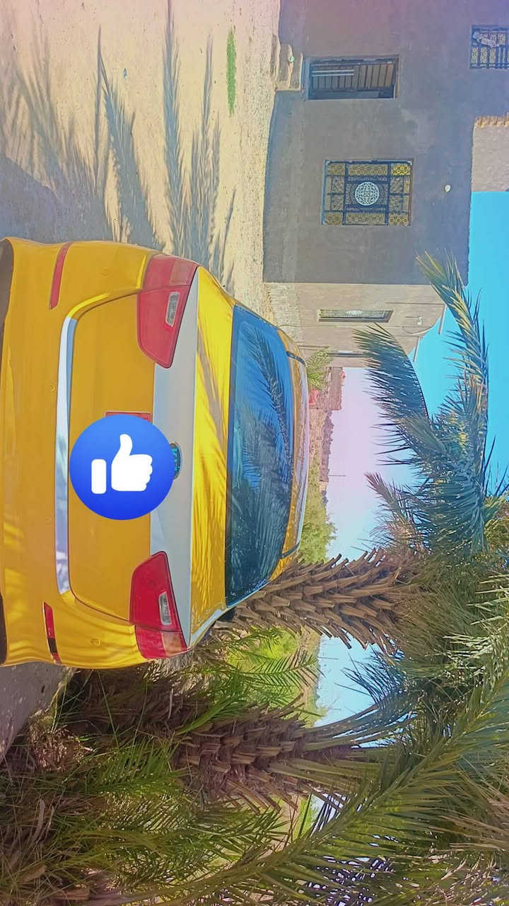 اوبتيما مديل 14شكل 15خليجي مكفوله ماعده بنيد بدون عابر والباق مكفول مكينه وكير  وحداديه وتبريد وتخم تاير ومنضومه تبريد مرايات شفط قطعتين تبريد منضومه زنون رقم مثني مكينه2000 جاهزه مصفره هيه وقرامان مكاني السماوه السوير السعر 125 تليفون***********
