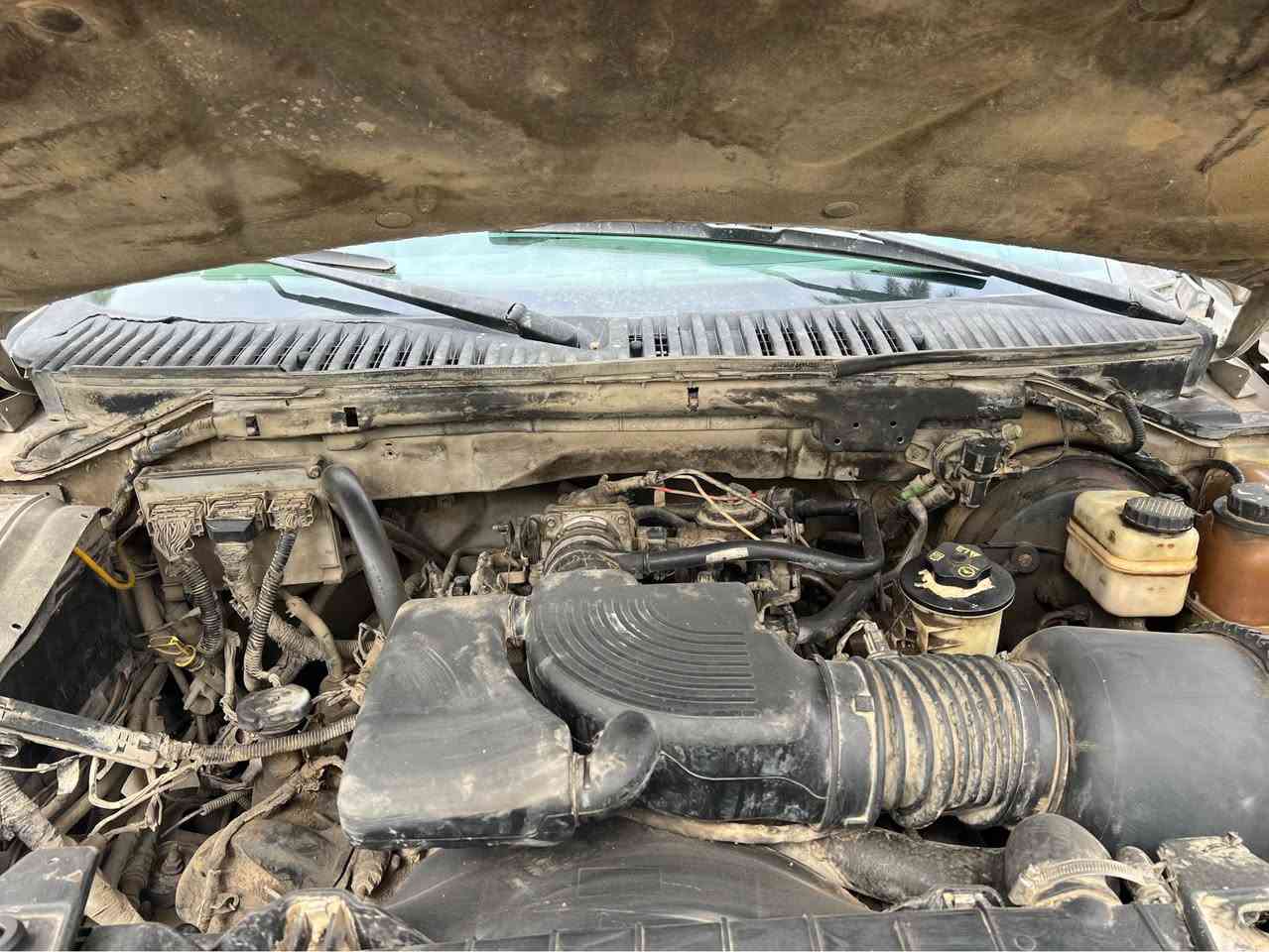 ﷽
تحيه طيبه اخواني الاعزاء للبيع او مراوس حسب القناعه  فورد اكسبديشن 2005 مزاد وزارة الداخلية كتاب المزاد بسمي اسوي وكاله للمشتري كتاب المزاد كامل تاخذه وتروح تترقم كربلاء 
السياره مكينه وكير بلاد جدد 
االسياره بدون صبغ أو ضربه 
السياره كلش جديده ع بلاد 7 راكب فول مواصفات وارد امريكي السعر 52$ بيه مجال للشراي 
***********
المكان كربلاء كربلاء, العراق
