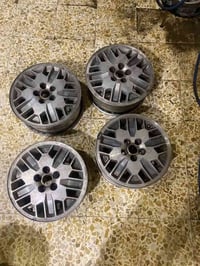 تخم ويل أصلي • دوج كلايزر • ميسان