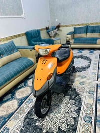 بيجي • مشمشي • نضيف