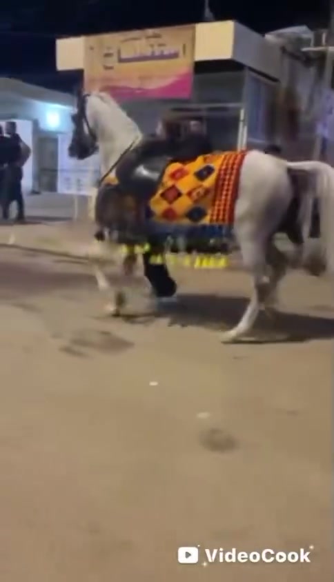 حياكم الله خيالتنه فرس مصريه كتاب وشريحه كامله. مكمله شاهد الله عليه احله من المقاطع سالمه من كل عيب الرتفاع 155حشار 5اشهر العمر 5سنوات المكان بابل الحمزة الغربي.. بروح الحسين المو شراي لا يتعبني ولا اتعبه ومتواجد تصال واتساب فقط 
***********بي واتساب

