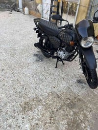 بوكسر • فحل • ٢٠٢٢