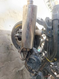سكنس • حلزوني • مراوس