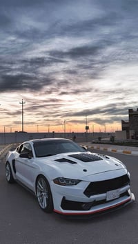 موستنك جيتي • ٢٠٢٣ • حزام كركوك