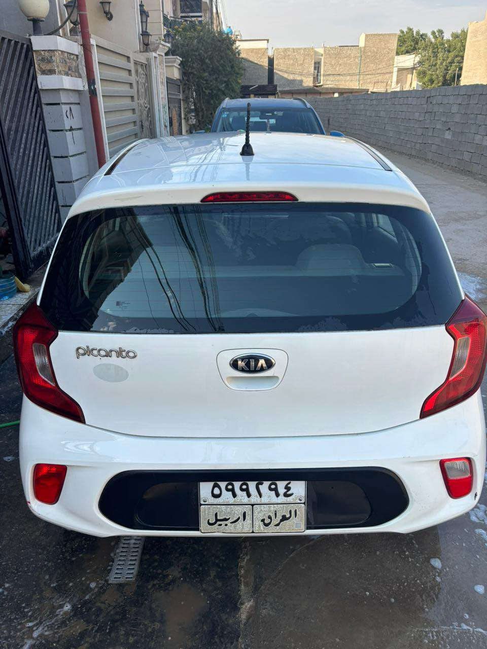 السسلام عليكم

كيا بيكانتو للبيع (( خليجي ))

موديل 2019 (( رقم اربيل )) 
تريد تحويل تريد وكالة مضمون 
ب اسم شركة رشيد معروفة كلش

السيارة بيه صبغ ب الجاملغ الخلفي
يم قبغ البانزين ومنزل صوره بيهة
وانطخت عندي هنا الله يجفيكم الشر
ب الباب الامامي السكن والدوسة
عفته مثل ماهيه ماصلحته لعبت نفسي

محرك 4 سلندر الجبير المرغوب ب السوك
مواصفاته عاديه بلوتوث تحكمات سستيرن

السيارة مداريه الحمدلله وكلشي بيه ع الشركة

مكانها بغداد الدوره او الكرادة

عارضها ب95 وبيه مجااال بسسيط

*********** بي واتساب همين بغداد, العراق
