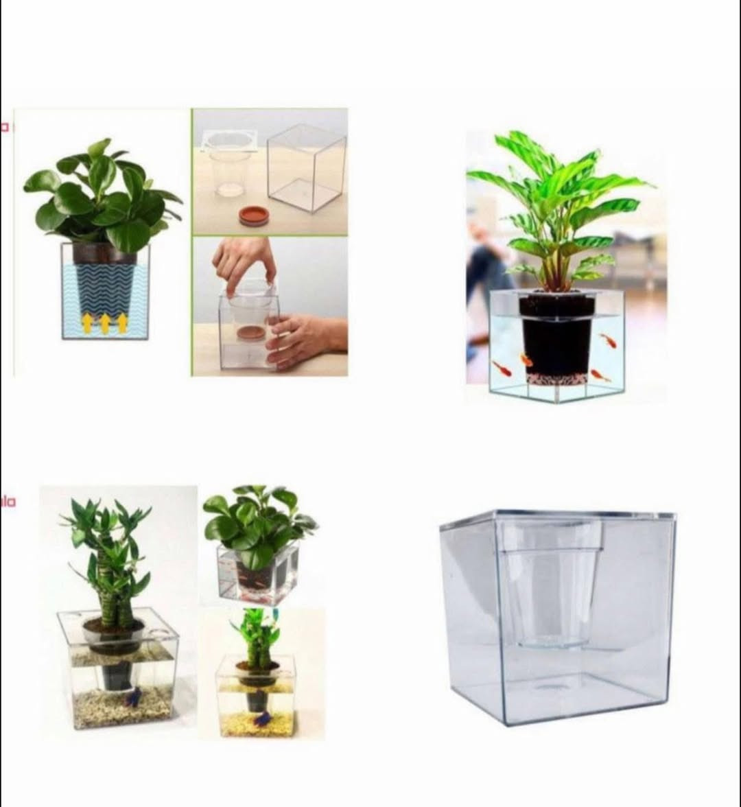 ب٢٠٠٠
سندانه وحوض للاسماك


**إذا كنت صاحب هذا الإعلان وتريد حذفه لأي سبب، رجاءا أرسل رسالة إلى الدعم الفني**