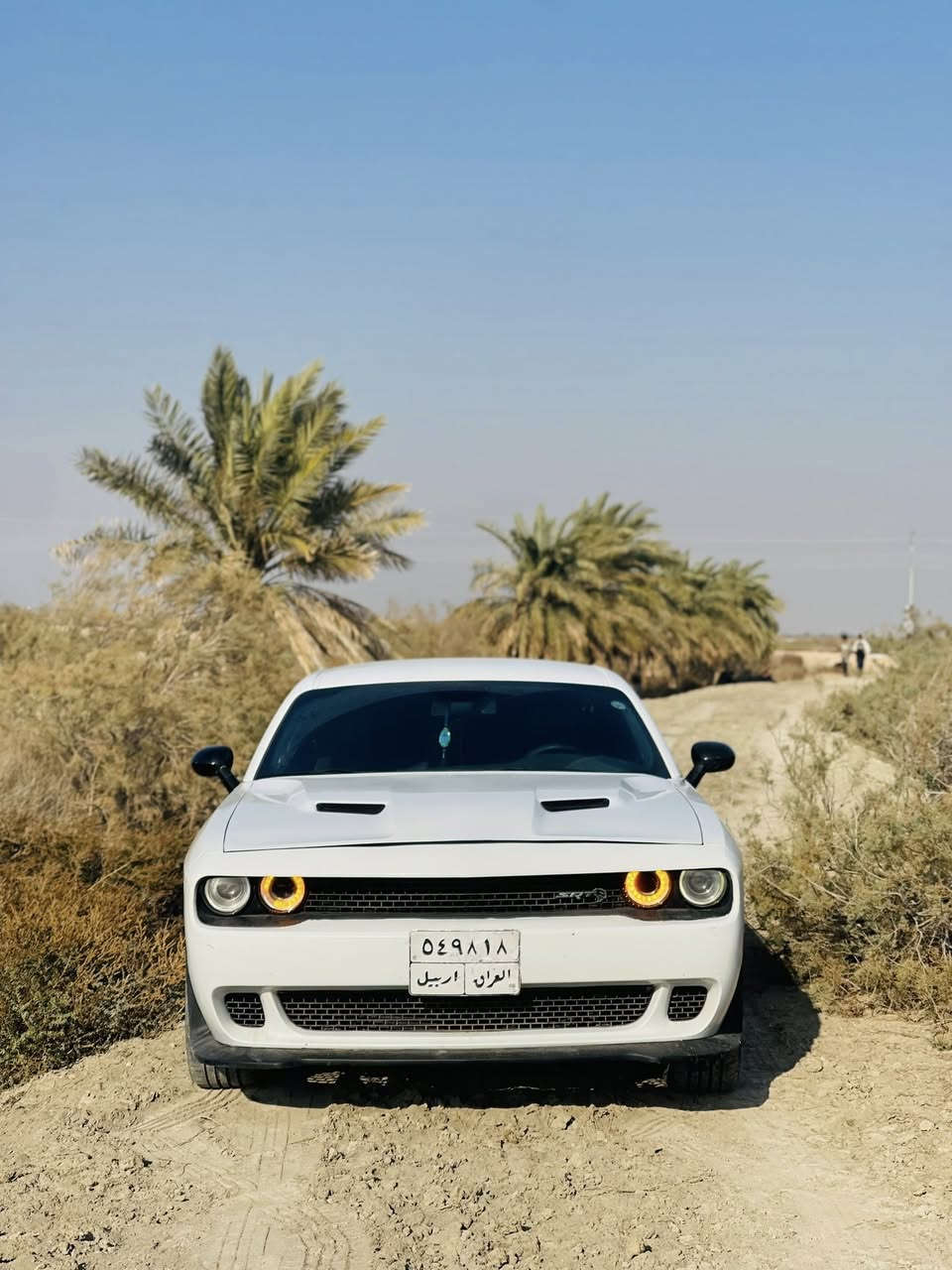 بيع او مراوس جالنجر v6 أربيل بأسم ولد بالبصرة وحاضرللتحويل حادث جاملق وبنيد خفيف بدون شاصي ولغد سيارة جاهزه مكاني بصرة ***********
