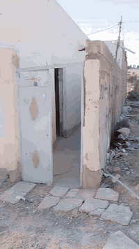 النجف الأشرف كوفة • 100م² • زراعي 25