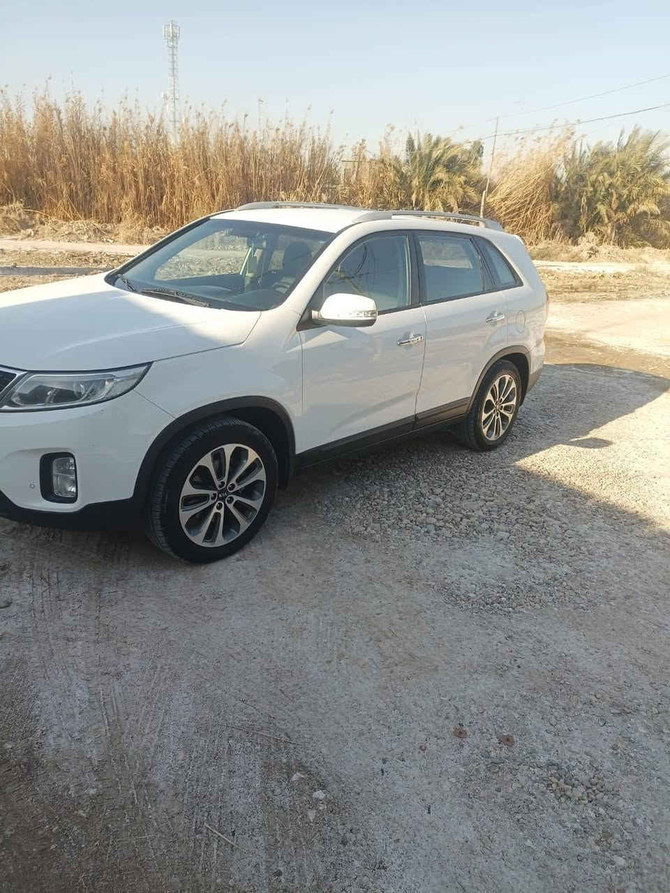 سلام عليكم
للبيع كيا سورنتو

الموديل ٢٠١٥

المواصفات

 خليجية 

بصمه تشغيل بصمه أبواب

لد نهاري

انارة ترحيب

بردات خلفيه

حجم المكينه ٢٤٠٠

كير مكينه مكفولات

رقم سليمانية تريد تحويل تريد وكالة

ماشية ١٧١

السعر ١٧٠ وبيها مجال

العنوان واسط العزيزية

مكلف بالنشر 

رقم صاحب السيارة *********** ابو ازل
