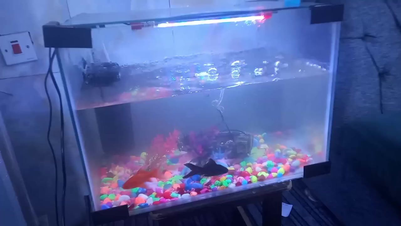 حوض اسماك قياس ٥٠ كامل بي اسماك اريده ب٥٠


**إذا كنت صاحب هذا الإعلان وتريد حذفه لأي سبب، رجاءا أرسل رسالة إلى الدعم الفني**