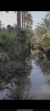 المدائن بغداد • نصف دونم • أرض زراعية