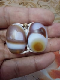 للبيع شلع مكاني بغداد العبيدي للتواصل على واتساب 07701231244