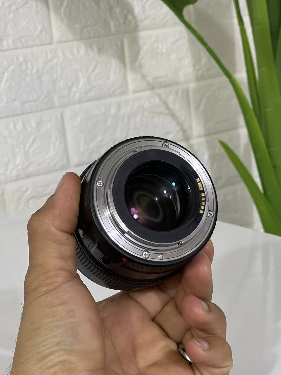 Lens Canon 85mm 1.8
کۆتا نرخی 195$

بێ کێشەو مەزبووت و پاک ❤️


**إذا كنت صاحب هذا الإعلان وتريد حذفه لأي سبب، رجاءا أرسل رسالة إلى الدعم الفني**