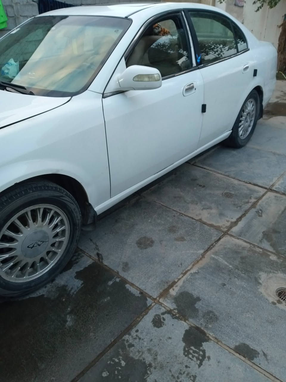 سلام عليكم شيري استر 12بغداد فول مواصفات إذا اكو مرواس بيكاتشو نحله صفره مرواس


**إذا كنت صاحب هذا الإعلان وتريد حذفه لأي سبب، رجاءا أرسل رسالة إلى الدعم الفني**