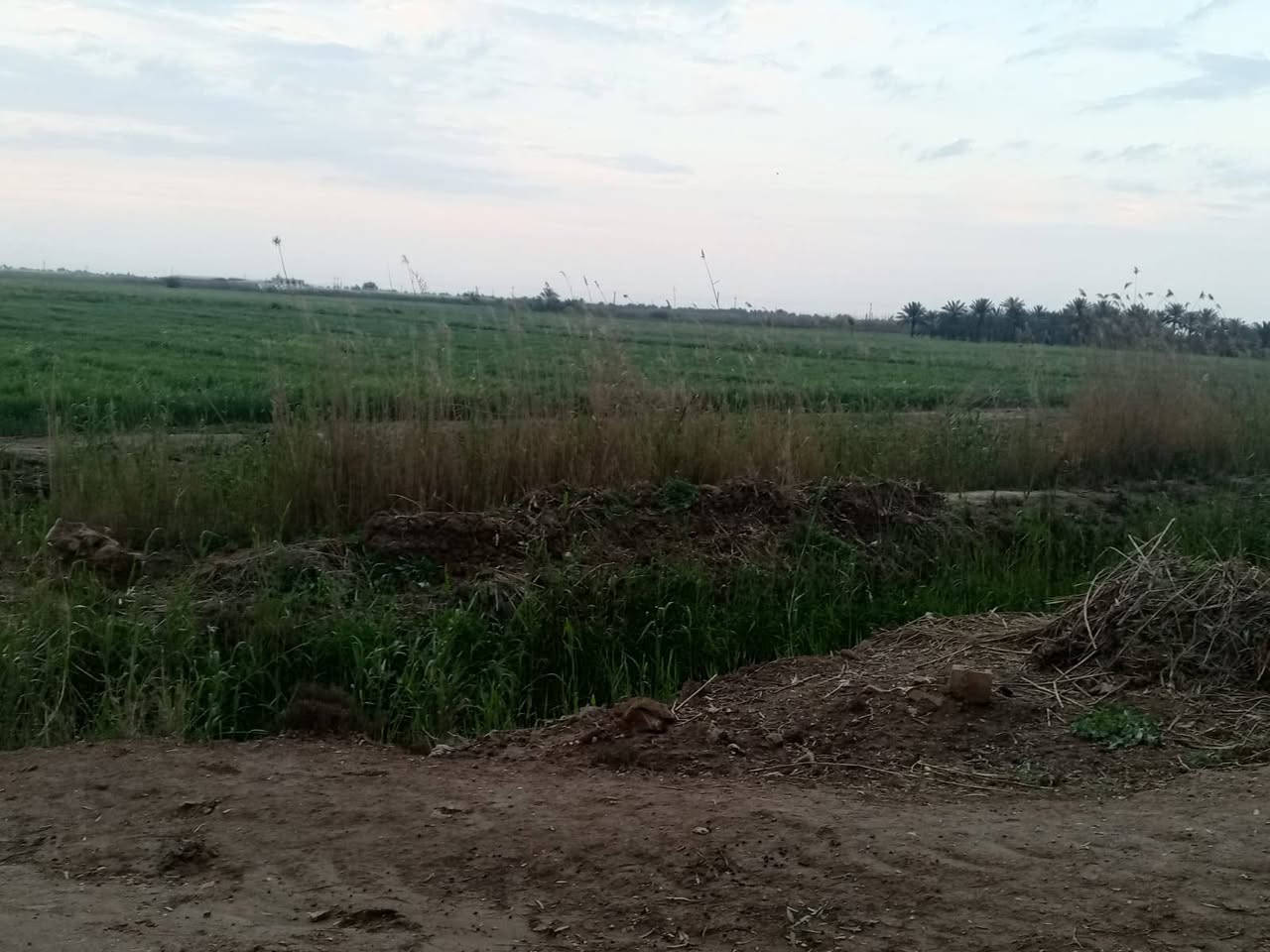 السلام عليكم عروض
يوجد شاطيات على ضفاف نهر دجله متوفر فيها خدمات دوانم
يوجد دوانم زراعي تجارية وسكنيه
من واحد دونم إلى ١٠٠٠ دونم الأسعار من ٥ مليون فما فوق
بساتين من دونم فما فوق سكنيه وسياحة
كافه الخدمات ماء وكهرباء وماء سقي
يوجد بستان نسيجي أرقى انواع التمور
ويوجد قطعه استثمار الاتصال على الرقم *********** والله ولي التوفيق
