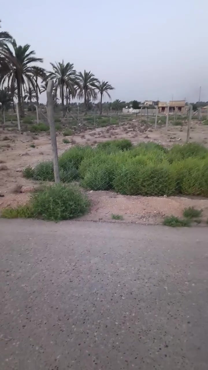 قطعه أرض شارع مدرسه الزكندري مساحه 275  كافه الخدمات تابع الفيدو


**إذا كنت صاحب هذا الإعلان وتريد حذفه لأي سبب، رجاءا أرسل رسالة إلى الدعم الفني**