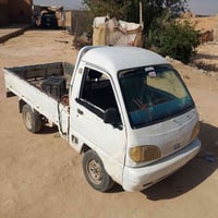 فاو • شرط • سعده
