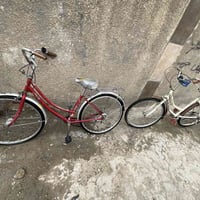 بايسكريم • عدد ٢ • مقاس ٢٤
