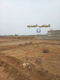 قطعة زراعي • ٢٠٠م • توزيع الحشد