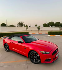 موستانغ V6 • ٢٠١٥ • أربيل