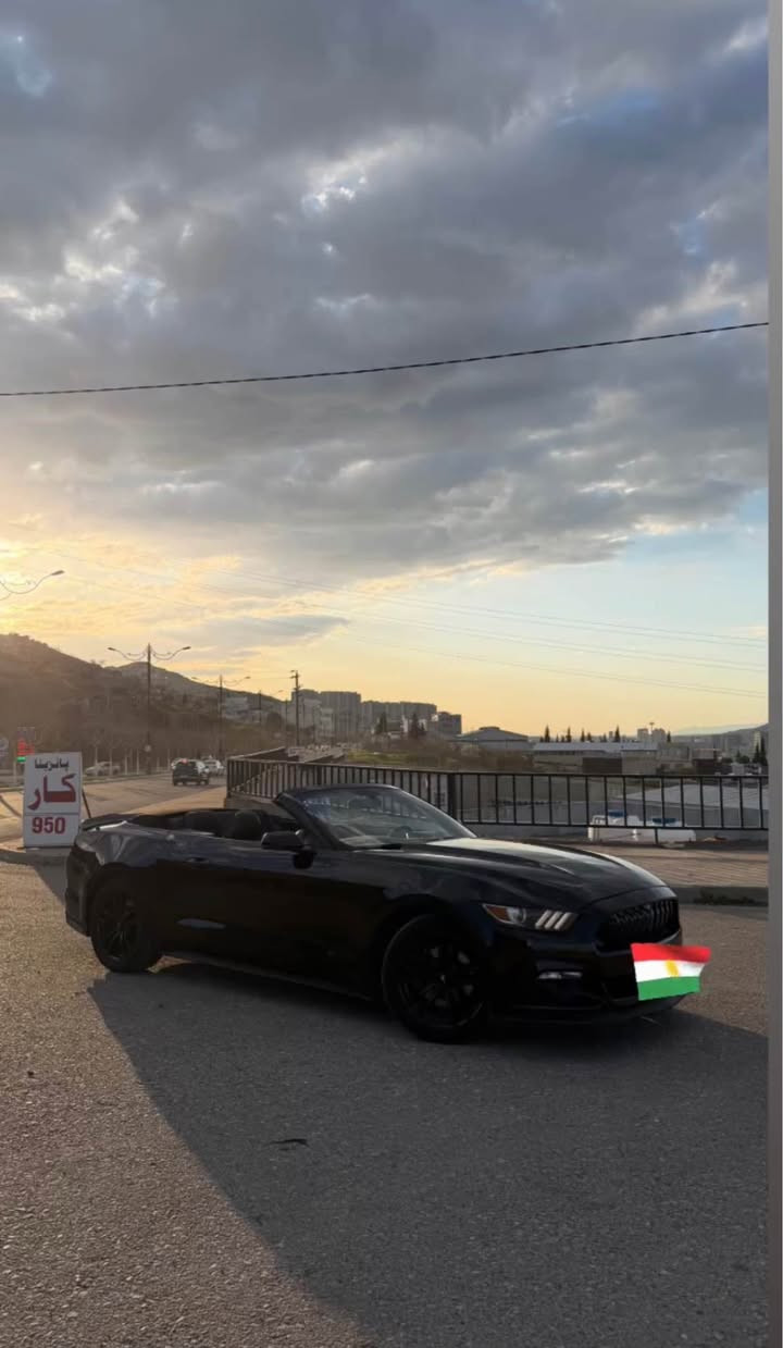 بونيت جاملوخ 
بي داخل 
يرباك سوكان 
يكو پوست ٤ پستن
*********** أربيل, العراق
