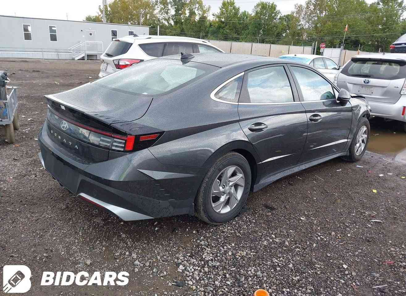 *بإمكان التخريج بكتاب الشهداء
*هونـداي سوناتــا موديـ2025ـل*
*السعر141(مصلح) واصل المنفذسفوان*
سيارة حاليا في دبي واصل المنفذ سفوان  بدون كمرك 
(مكتب الماجد الأستيراد السيارات الوارد الأمريكي والكندي)
(العنوان ، البصرة ، سفوان،  )
ولدينا وكلاء جميع محافظات العراق
اتصال او واتساب :
( حسام الماجد)
***********
‏***********
رابط الكروب واتساب نشر يومي السيارات في دبي 
https://chat.whatsapp.com/DNfmzX564GDHUVJokH19Vy
