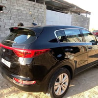 سبورتج 2019 • وارد أمريكي • رقم بغداد