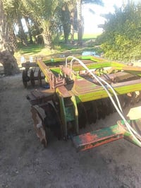 دسك ناردي • إيطالي أصلي • الشحيمية واسط