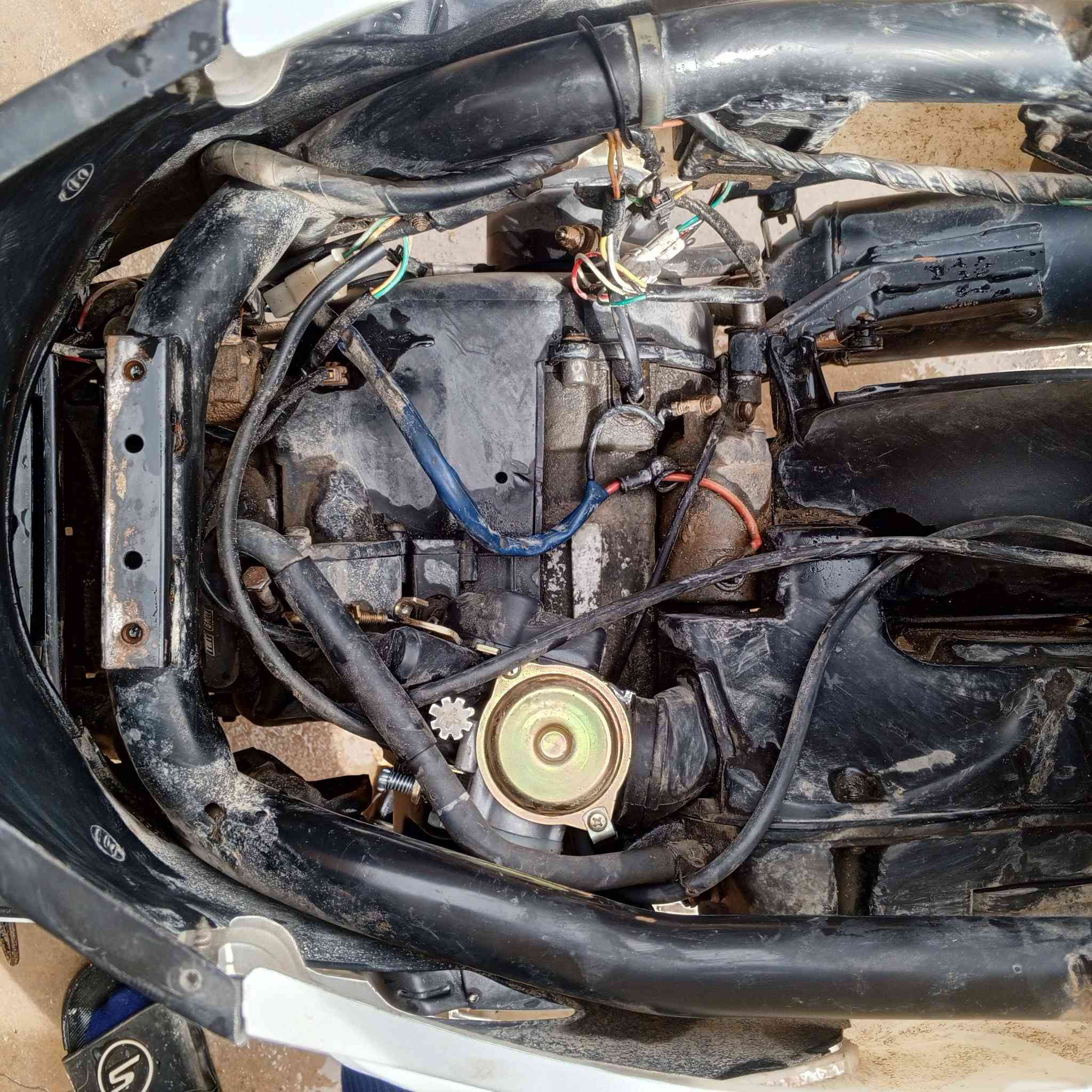 فراشه للبيع دراجه خير من الله مكينه حاويه مامفتوح برغي بيه ويل رياضي بيه شلع اشاك الكاع درجه عوزه بس وجه وجه موجود بس عوزه شد مكينه شوفت عيونكم درجه تخبل السعر 350وبيه مجال حك الجيه مكاني نجف حريه متوازي عليه وريد ابيعه


**إذا كنت صاحب هذا الإعلان وتريد حذفه لأي سبب، رجاءا أرسل رسالة إلى الدعم الفني**