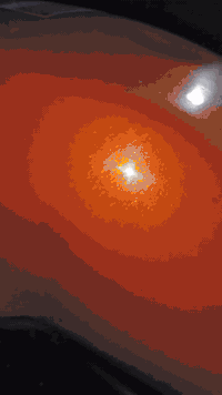 مرقم بغداد ب اسمي تحويل بالوكت الي يعجبك 
.... 
ملاحضة قبل ما اكتب مواصفاتها و الي مخليها
((( بيها خيط تبخير كلش خفيف ))) 
مزود الها لايت زينون ، و سيباية عمل لان سيبايتها الاصلية كلش خفيفه و تطك ب اي حمل خفيف 
الدراجه كلش قوية و نشطه و سريعه و خير من الله 
ما بيها اي نقص و بيها ادامه كامله قبل اسبوع سويتلها من زنجيل و فلاتر و دهن و امانة الله كله محسن افولها و كلش مرتبه و موجهه 
(مشتري الها قمجي مال كلج و قمجي بانزين و مبدل الها قمجي مال خناكَ كابريتر و وياها كابريتر مستخدم والايت القديم مالتها موجود و الامرايات الجنابيه الابلاديه مالتها موجوده ) 

(((( السعر مليونين و 200 الف )))) 
تجي تاخذها من باب البيت و بالخدمه 
مكاني بغداد / العامرية 
***********
