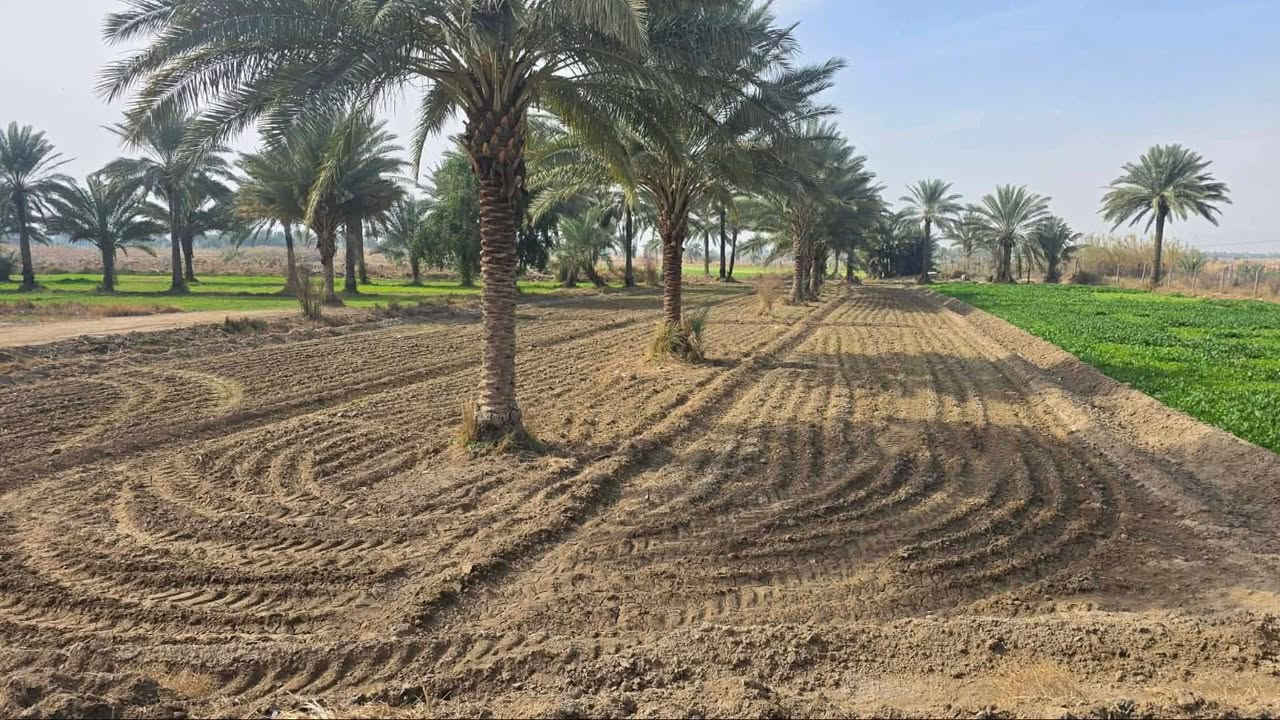 السلام عليكم

2 دونم الاّ ربع للبيع طابو زراعي سند 25 تحويل مباشر بإسم المشتري 💯✅
العنوان. خلف جامعه بابل.🏛 متوفر ماء السقي ( أمام وخلف الأرض مباشرةً)
اساله ، كهرباء، الخدمات كامله     يبعد الطريق العام 800 م  وطريق الرسمي عرضه ٦ متر 

السعر :- خاص ✅

التواصل :- ***********
