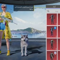 حساب للبيع • ربط نضيف • قفل ٢٥٠