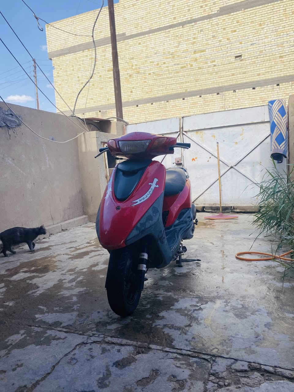 السلام عليكم 
دراجه بريز للبيع 
مكينة مكفوله ونشطه نقوصاته بصيطه 
التواصل خاص وشكراا


**إذا كنت صاحب هذا الإعلان وتريد حذفه لأي سبب، رجاءا أرسل رسالة إلى الدعم الفني**