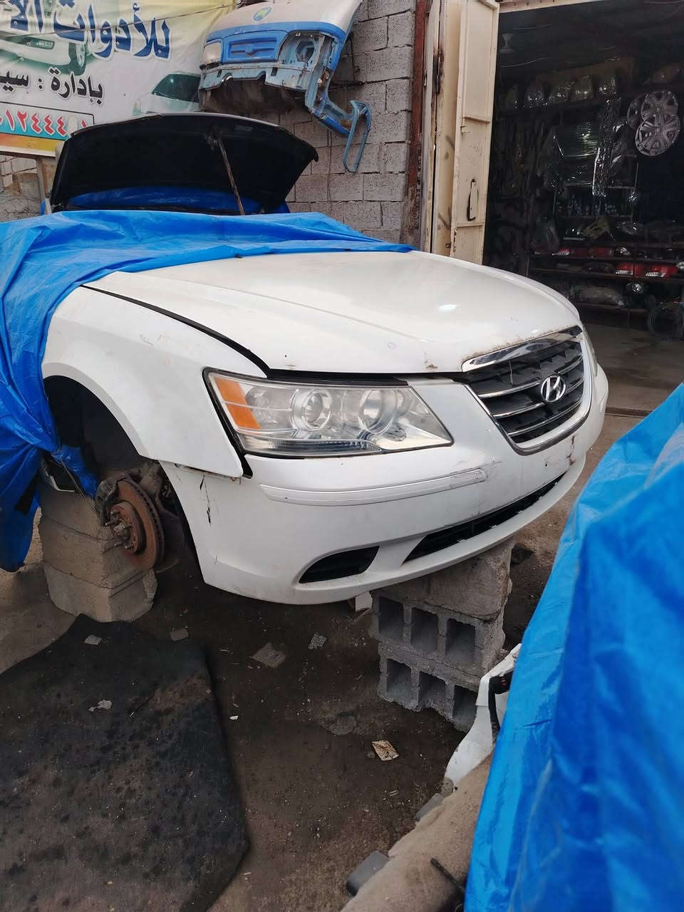 العنوان ديالى خانقين *********** يوجد توصيل
