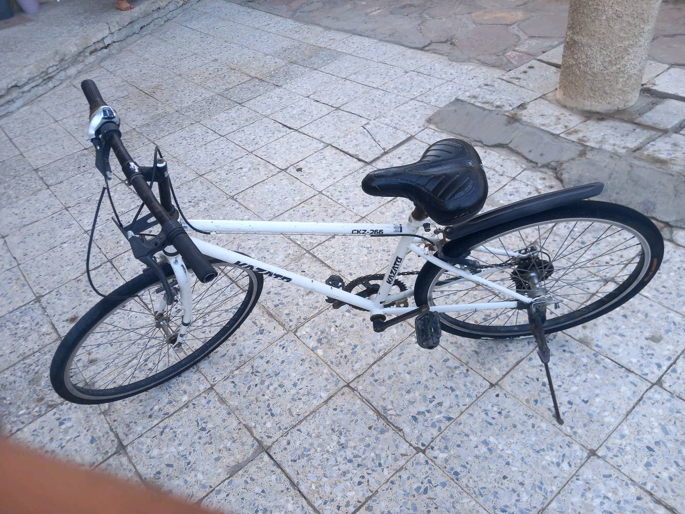 بغداد الشعب 