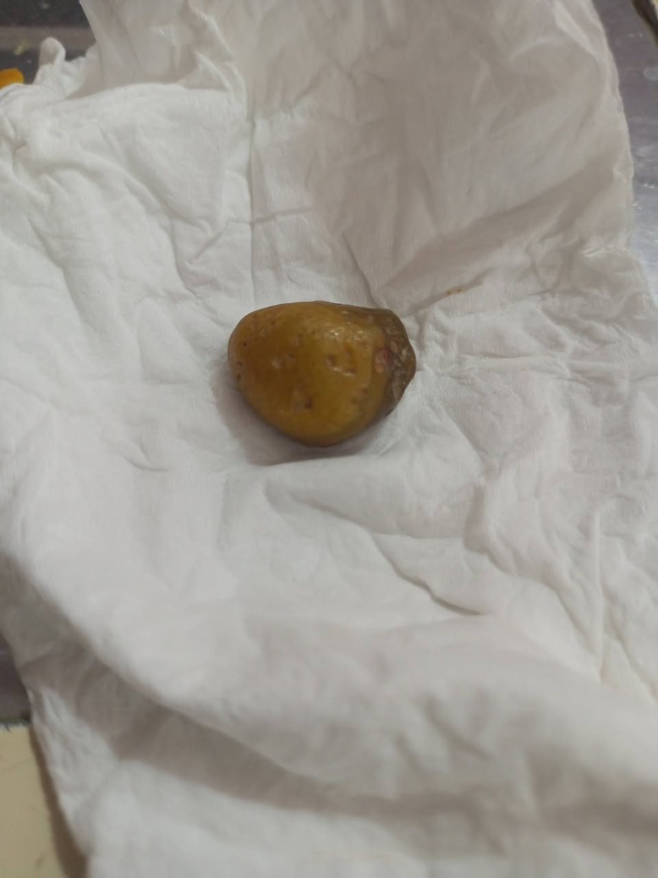 السلام عليكم
خامه من السليماني مال گاع  للبيع
قيم بليرضي الله وبلعافيه عليك
مراسله ع الواتساب ***********
