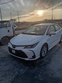 كورلا موديل 25 زيروا رقم بغداد مقترض وأخوه كفيله اتصال 07709217511