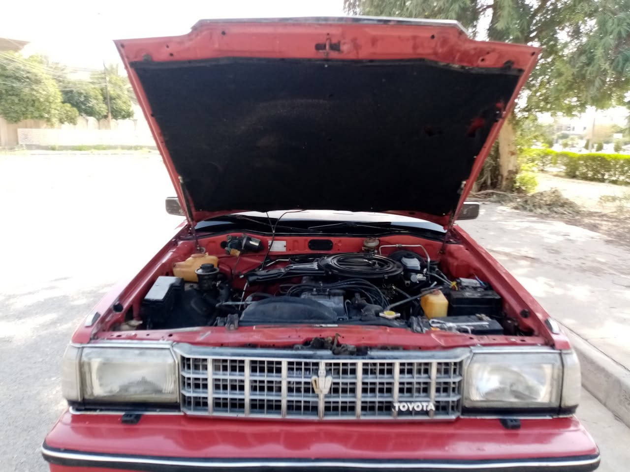 للبيع سوبر 84 بيها كابون رقم نينوى دولي سنويه وهزه جديده شرط التحويل محرك 5m لا صرف لا نفخ كير عادي
سنتر لوك اربع بواب صبغ حزام جماليه بلا دواخل
السعر 48 بيها مجال
*********** مكان الموصل الايسر
***********
