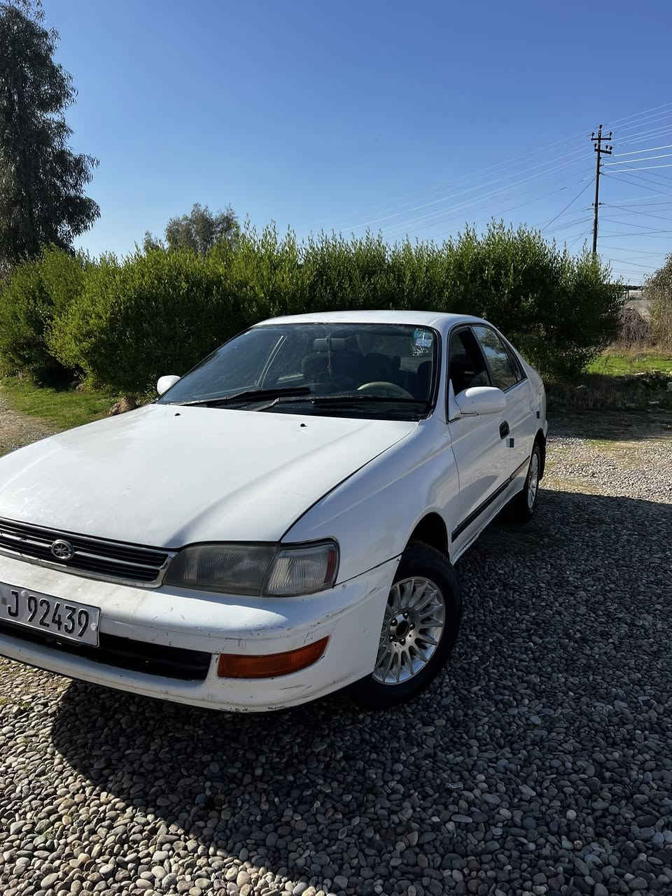 فرخ بطه للبيع نقد فقط
رقم دولي نينوى
هزه جديده 
لون ابيض 
تبريد تدفئه
السعر ٤٠
***********
***********
