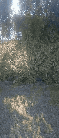 سلام عليكم  بيت اللبيع في الكرمه مساحه ٢٤٠٠ متر البيت طابقين يتكون من ٣ غرف نوم ٤×٥ وصاله وستقبال ومطبخ خارجي وهول بضهر البيت بيت ثاني من ضمن البيت سعر ٢١٥ وبي مجال ***********
