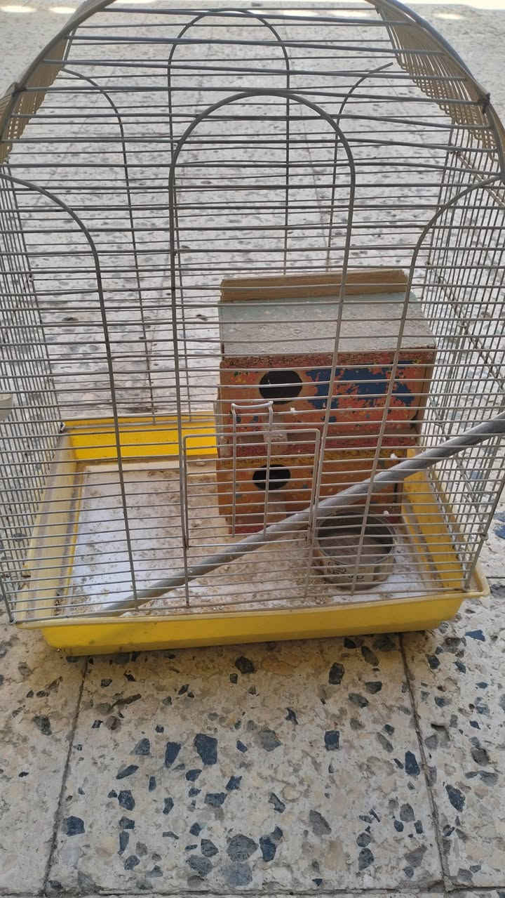 للبيع كلهن ب 40الف ناصريه مركز


**إذا كنت صاحب هذا الإعلان وتريد حذفه لأي سبب، رجاءا أرسل رسالة إلى الدعم الفني**