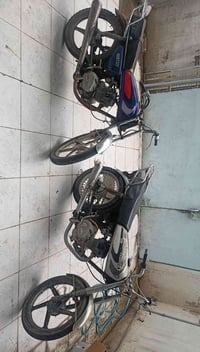 دراجتين • شغل • ما بيهن عيب